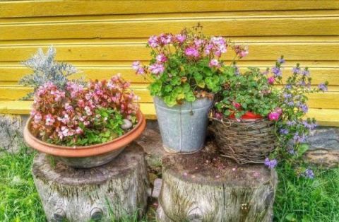 庭院不需太奢华，或一盆花，或一个老物件就能让庭院惬意起来