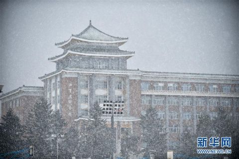  [吉林]吉林长春大雪纷飞