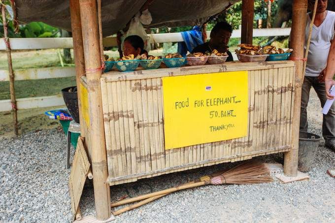 【女神级游记】与我的小甜心在苏梅岛,享受阳光、海滩