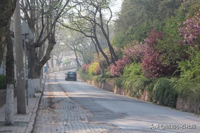 记忆随景—2015青岛游(八大关、教堂、信号山)