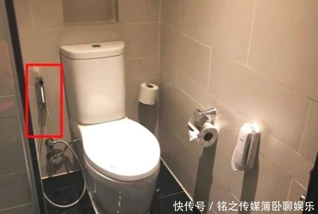 在泰国旅游,厕所里的软管做什么用的?服务员的回答让女游客脸红