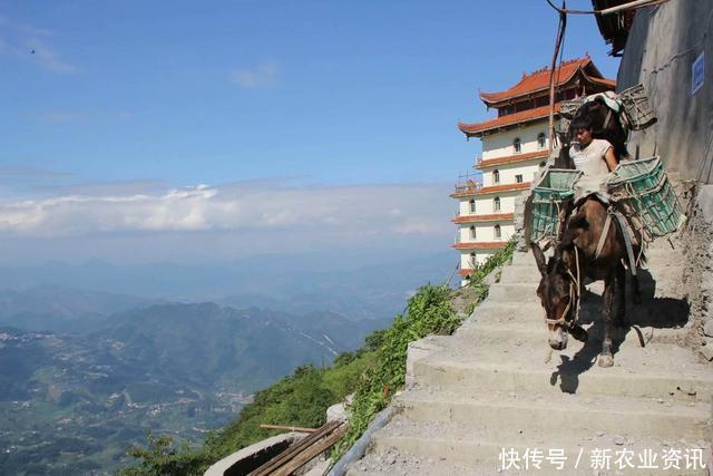 农村这3个“地段”要重视，未来或许会很珍贵，说不定你家也有