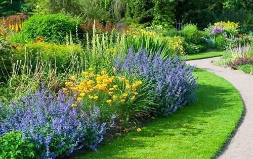  『家里』保持植物健康的5种高效方法，促进家里的花卉孕育花朵