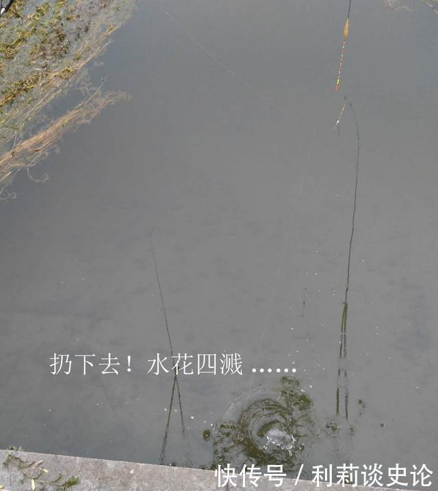  #把它放生#海淀区昆玉河，鲫鱼开口，送你钓小鱼攻略