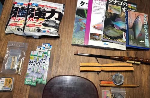  「鳑鲏鱼」钓鱼人一脸嫌弃的小鱼鳑鲏，在日本却成了“宠儿”