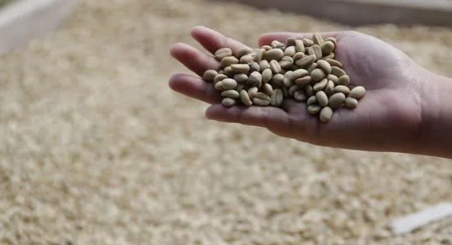 人民网：切段农民后路的“城镇化”是个断子绝孙的馊主意！