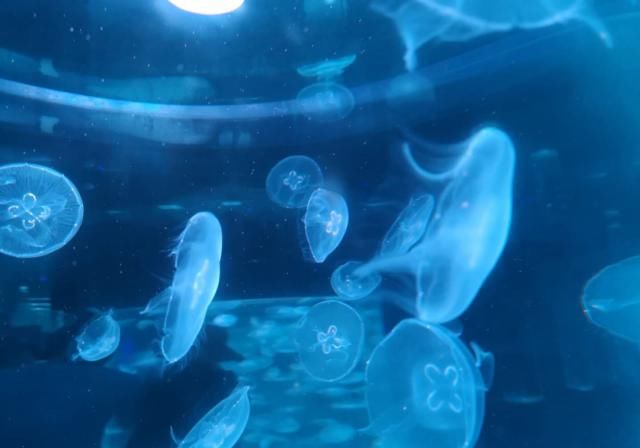  「重启」不能重启的2020，接下来的日子在天津要这样过！