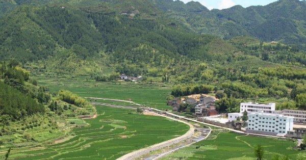  「屋梁」农村有人专门买旧房梁，一根100多，老农：这有啥用？答