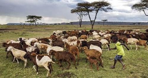 全球唯一黑人发达国家，当地人比中国人都会种地，收入是中国3倍