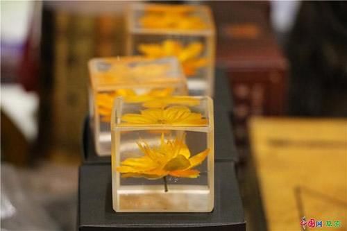 乌英嘎音乐故事会带你走进“辽阔草原锡林郭勒”