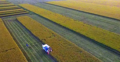 中国一设备，传到非洲竟变成了神器，还改善了非洲人的懒惰