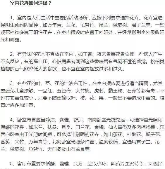  养花|室内养花技巧，让你养花一养一个好！