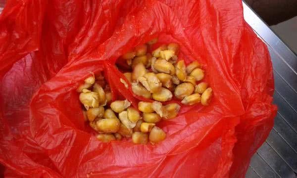  「垂钓」钓鱼人的故事，被骗的经历