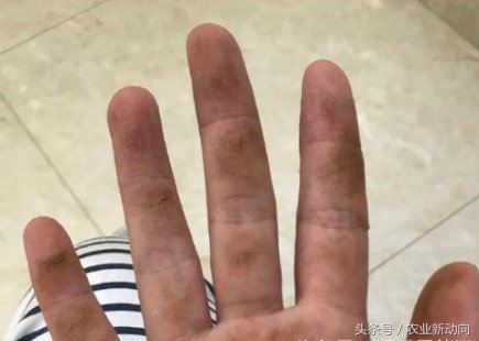 草帽姐终于忍无可忍了，澄清炫富的理由，网友:骗人当然心累了