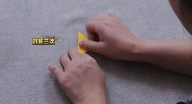  「花瓣上」母亲节做会开花的贺卡，给妈妈独一无二的爱！