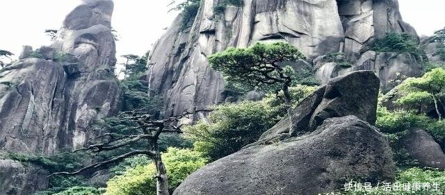 比黄山还壮观的山，门票很便宜，为何爬到半路大多数人都放弃了