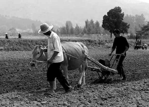  「用竹子做」收藏50年前的农村记忆，是否有你共同的回忆