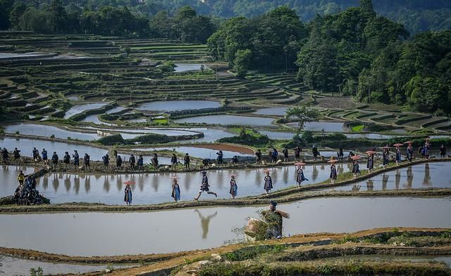  秧门■乡土散文：喝酒吃肉开秧门