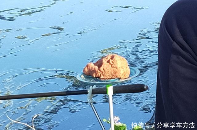【城市】城市内河,老年人的专属钓场!流水、富养、青苔,比郊外垂钓更难