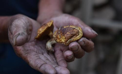  煤油灯■山东一户人家7代人隐居深山，如今仍在用煤油灯照明