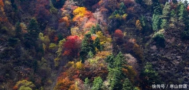 当你飞向拉萨，你会看到什么