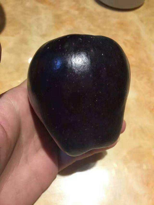 别再种玉米了，此果树插土即活，一年能结3000斤，一年挣65万