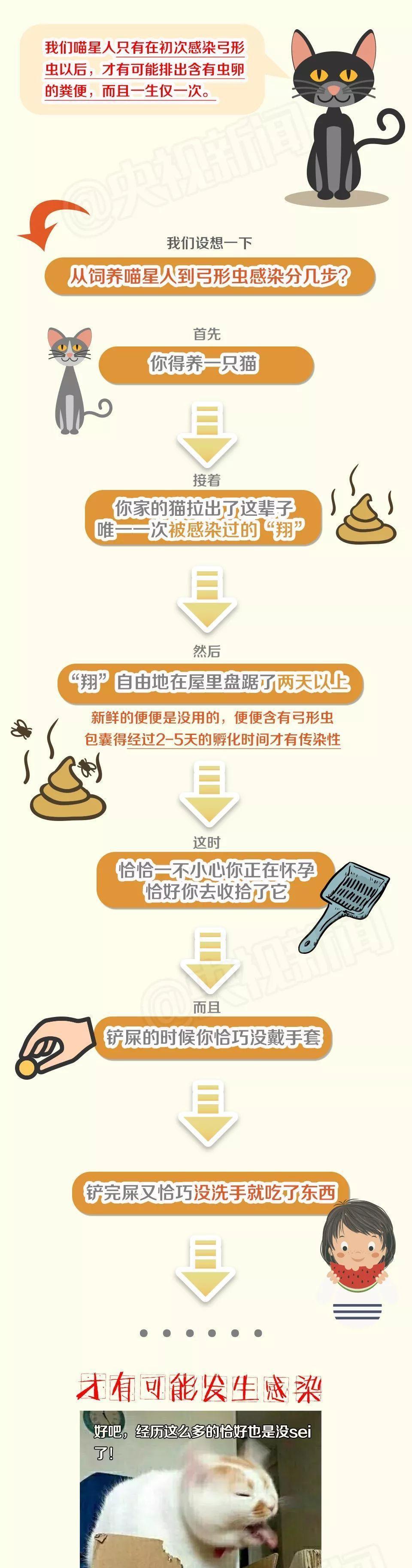还在相信怀孕不能养宠物吗? 连央视新闻都出来辟谣了!