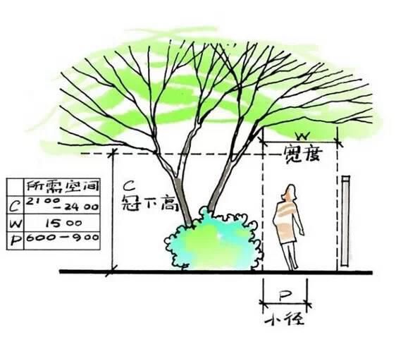  「值得一看」图解花园细部设计（值得一看）
