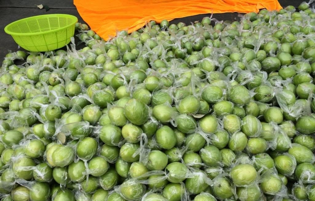 农村没味道的水果，南方2元一斤泛滥，北方80一斤舍不得吃