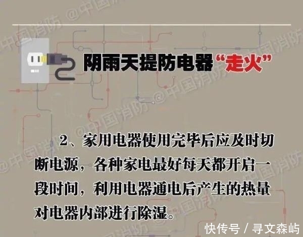  [电线短路]4000头猪一夜毙命 网友：心疼