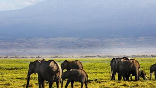 坦桑尼亚——东非大陆的一颗明珠！