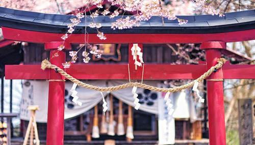 部分中国女人羡慕日本女人的生活，看完总算明白