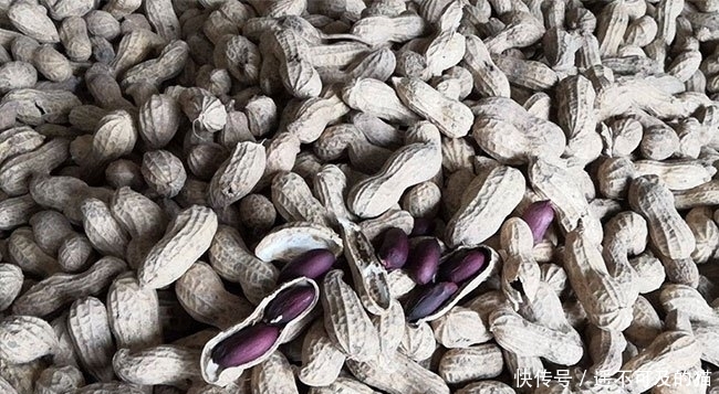  眼红|它是高价“漆黑”果，20元一斤不好买，农民看着眼红却不敢