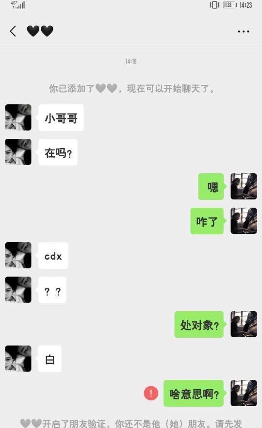 这到底是什么意思啊?我说错什么了吗?为什么