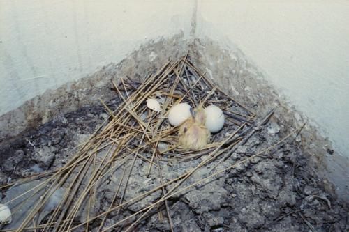 在摄影师15年的个人成长影像记录里，有原汁原味的印度南部风情