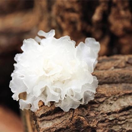 女人别舍不得保养，常吃6种食物，补充胶原蛋白，皮肤又白又嫩