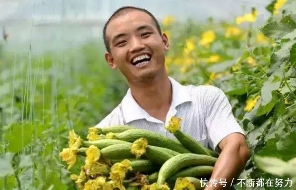  「老无所依」农民也将有退休金了，试点地区已经开放，不用再担