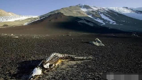 昆仑山下的可怕泉眼:终年不冻,流经之处寸草不生,飞禽走兽绝迹