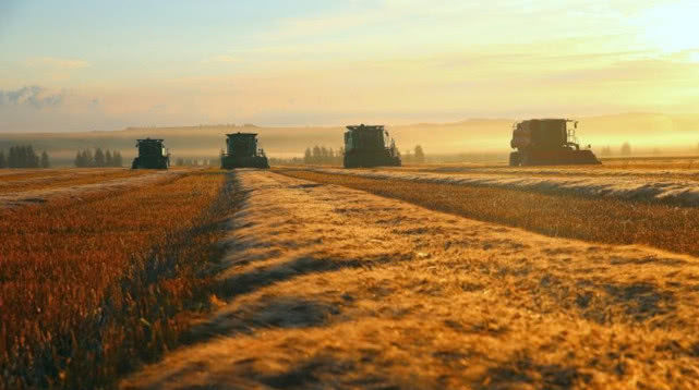  退耕|当年国家组织大量人力开垦“北大荒”，为何现在却退耕还“