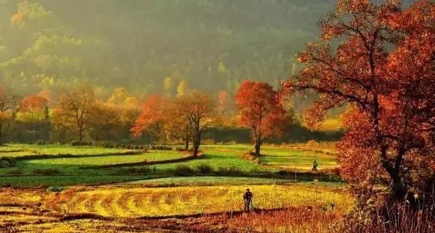 江南最美的10个秋色