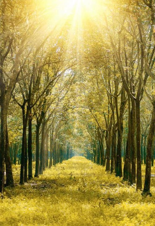 手机拍照,什么时候用横拍?什么时候该用竖拍?原来其中大有讲究