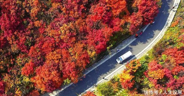 赏秋看红叶，不可错过山东这条山谷，游客来了不想走