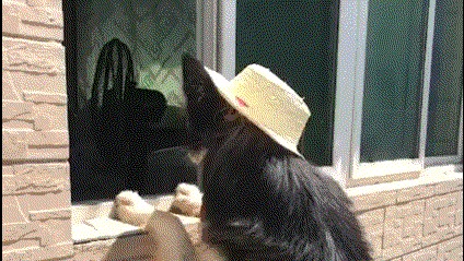 妹子，空有一双大长腿身材倒是挺胖的啊，裙子都被撑成啥样子了