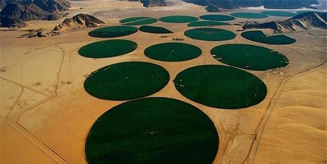 沙漠中的农场，从300米的地下取水，堪称世界奇迹