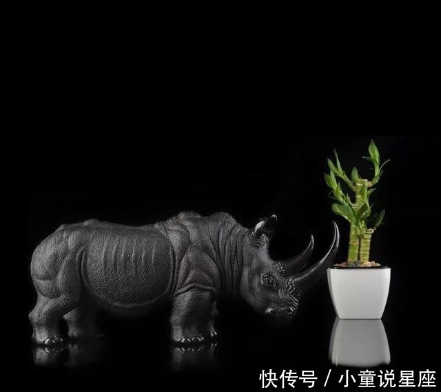 中国:玉雕犀牛,真绝了!