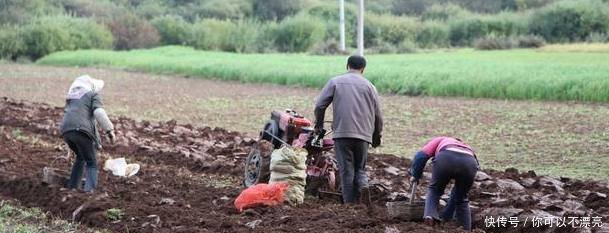 国家给农民“发工资”了，所有农民都有份，确实不太可能