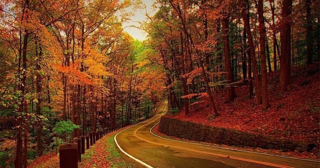 红枫片片,暖了初冬