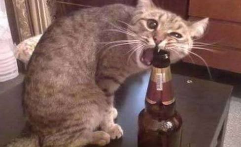 幽默笑话:本人腿粗,刚刚和老妈去超市看见一个