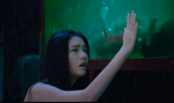 这些假到好笑的谣言和八卦，都是小学生编的吗哈哈哈......