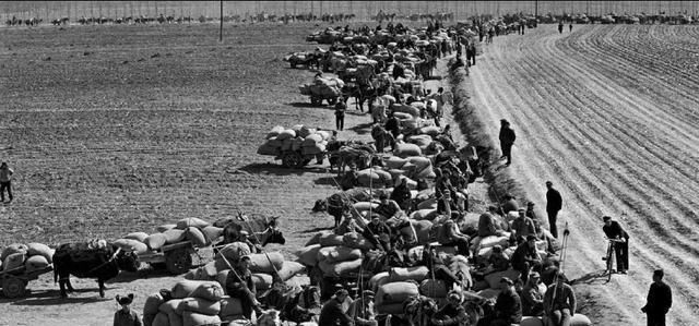 为国家交了几十年公粮的农民，如今老了待遇差别怎么那么大？